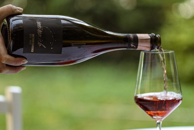 Bollicine con il Lambrusco Grasparossa: sfida nel segno della genuinità