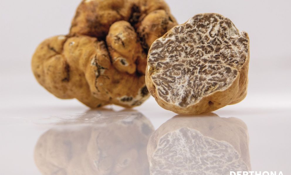 Derthona & Truffle, tartufo e Timorasso: così si racconta il Tortonese