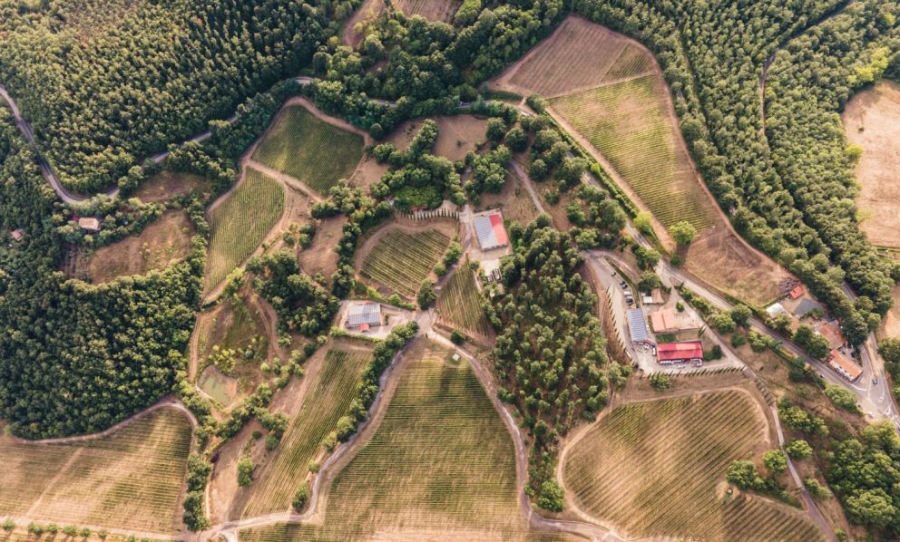 Ampeleia, espressione in Maremma di una Toscana gentile, tra vino e cucina
