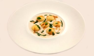 Birra Moretti explosion with Parmesan sauce, basil