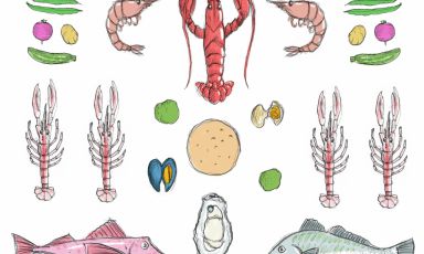 Gli ingredienti del Cappon Magro illustrati da Gia