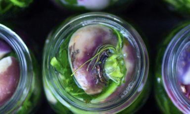Alla scoperta del pestìth, la rapa fermentata della tradizione gastronomica friulana
