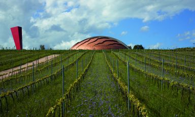 Lunelli’s Tenuta Castelbuono in Bevagna (Perugia)
