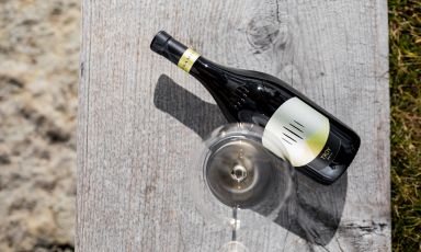 Il Troy Chardonnay di Cantina Tramin
