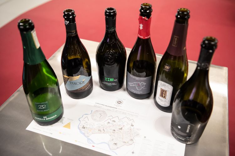 I primi sei vini in degustazione