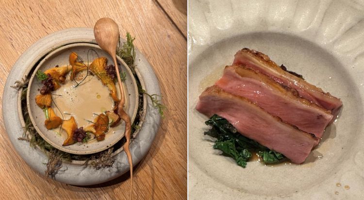 Finferli, pini e porcini e Capretto, zucchine e cavolo nero