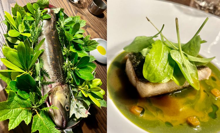 La delicata trota fario semi-cuit regala principalmente una consistenza, ed è arricchita in modo prepotente da una salsa a base di fumetto di trota e acetosella di Belleville, estratto di salvia, levistico