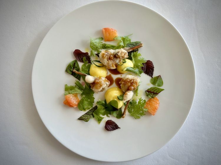 Rane fritte, estragon, pompelmo e spuma di arancia: sono fritte in pastella (in olio) e servite con una spuma di arancia amara, delle erbe aromatiche (tra cui l’erba wasabina, con note di wasabi e balsamicità simile al rafano), una salsa classica alla francese (fatta con succo d’arancia, scalogno e sugo d’arrosto, il tutto ridotto, passato al setaccio e montato al burro). Questo è un altro piatto molto diretto, ma anche goloso e rispettoso degli ingredienti

