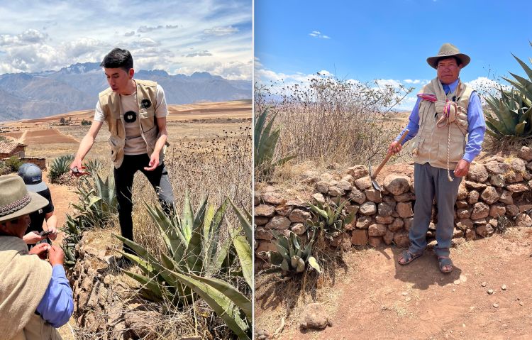 L'esperienza a Moray comprende la Mil Immersion, che parte dalle prime ore del mattino: prima di sedere a tavola si esplorano le proprietà delle piante dei dintorni. A sinistra nella foto, l'esperto di erbe, radici, piante medicinali e maestro distillatore Manuel Contreras, autore di liquori, distillati e cocktail andini speciali. A destra Efrain, detto Efra, della comunità andina locale. Conosce la funzione di ogni singola pianta: proprietà mediche, cosmetiche, estetiche o commestibili di specie versatili e tenaci