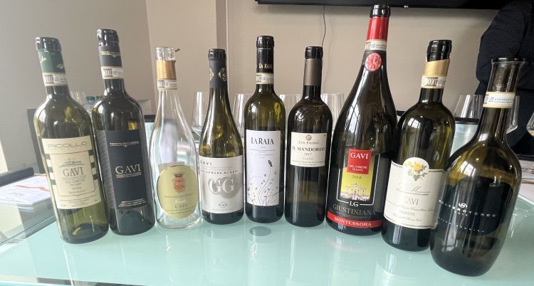 Le bottiglie di Gavi in degustazione