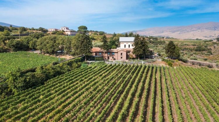 Le cantine Cottanera per rafforzare il concetto di enoturismo hanno affiancato la Dimora, 13 stanze, una diversa dall'altra, immerse nella bellezza del vigneto