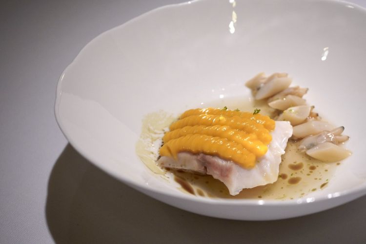 Spigola con purea di zucca Butternut, cannolicchi, dashi di vongole, zest di limone e olio di semi di zucca (2020)