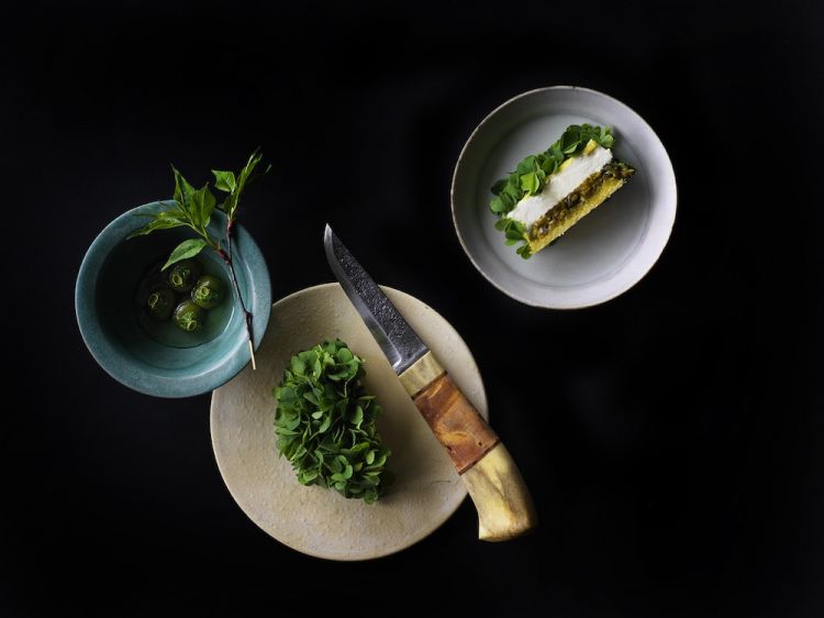 Torta al latte di soia, acetosella e kiwi selvatici