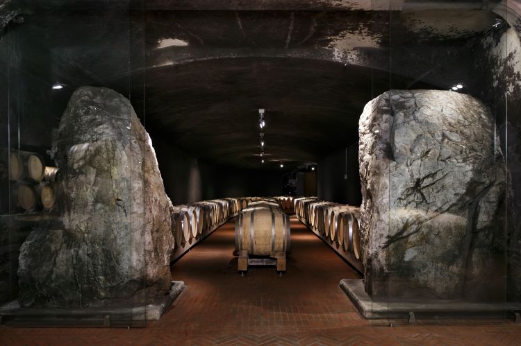 Uno scorcio della cantina di affinamento