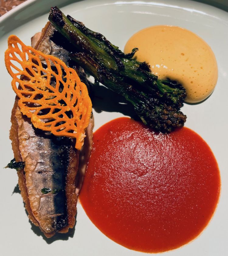 Sgombro alla pizzaiola, zabaione e broccolo selvatico, dalla carta autunnale di Jamantè