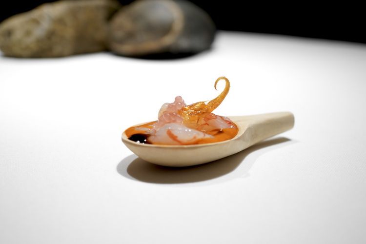 Now a trilogy of the Mediterranean region, simply perfect. The first tasting is one of the most famous, but also the less interesting, Toda la gamba (2012): an entire red prawn from Palamós – the body is lightly marinated in rice vinegar, there’s a velouté made with the carapace and a reduction of bisque. The legs are both fried and lyophilised. Finally, there’s caviar with lemon