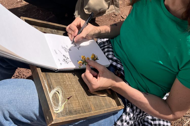 Malena also catalogues all wild herbs through illustrations