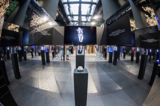La cosiddetta Venere di Moravany: è una statuetta in avorio di mammut datata attorno al 22.800 a.C.