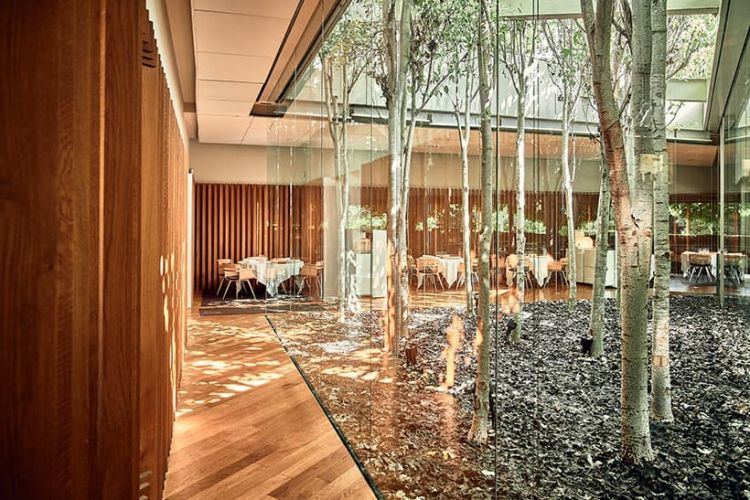 The dining room
