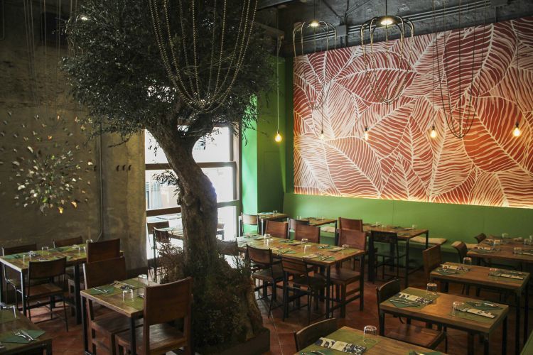 L'interno de Il Cortile in Centro rivisto con un design green e sostenibile lo scorso anno: in mezzo al locale cresce in tranquillità un grande ulivo